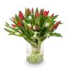 Bouquet of red tulips